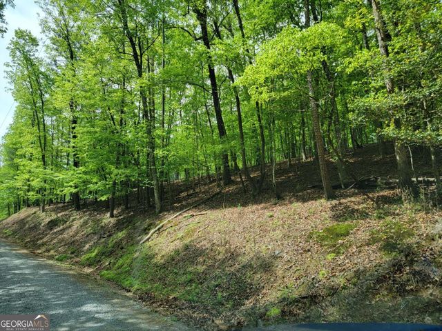 LT 563 Nexus Drive, Ellijay, GA 30540