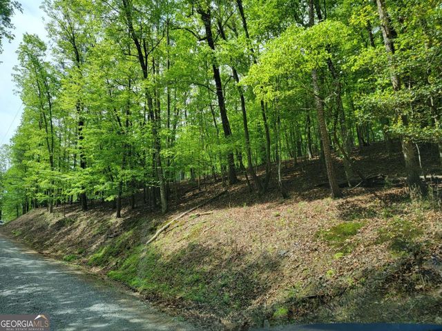 LT 563 Nexus Drive, Ellijay, GA 30540