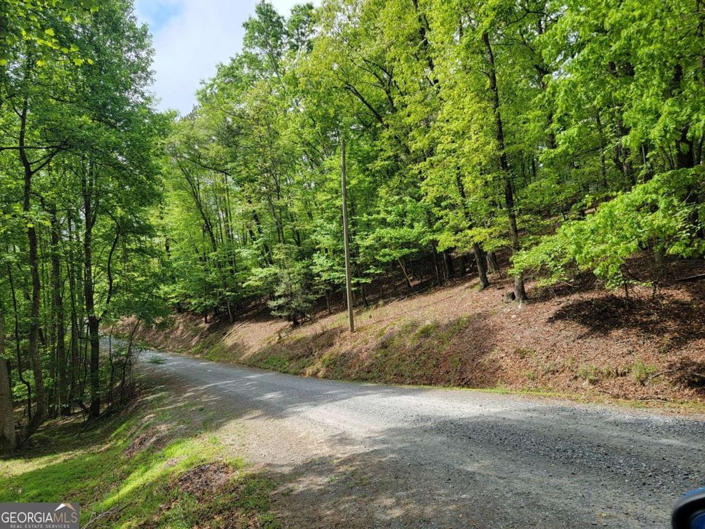 LT 563 Nexus Drive, Ellijay, GA 30540