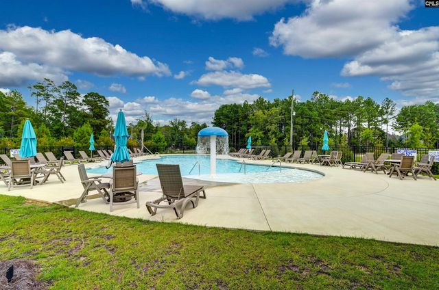 603 Riverdale Court, Chapin, SC 29036
