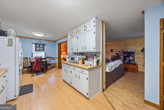 183 Golden Valley Drive, Demorest, GA 30535