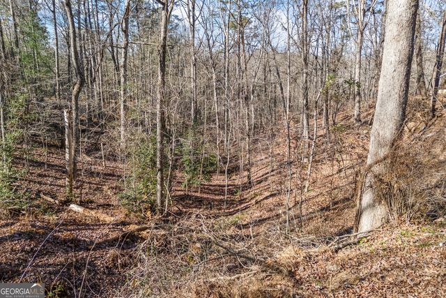 183 Golden Valley Drive, Demorest, GA 30535