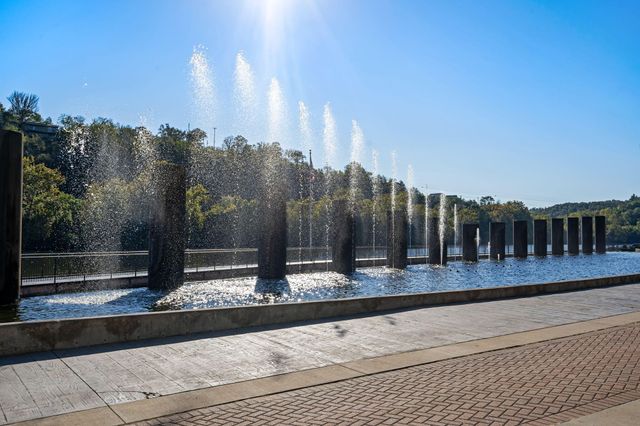 10312 Branson Landing Boulevard 312, Branson, MO 65616