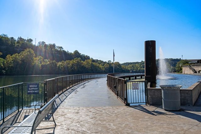 10312 Branson Landing Boulevard 312, Branson, MO 65616