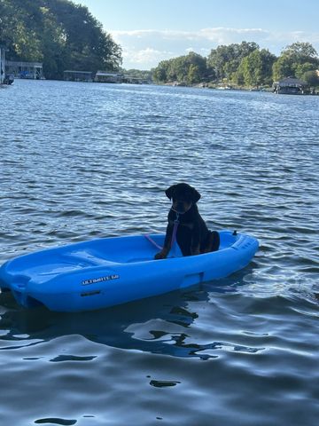 142 Hammock Drive, Winchester, TN 37398