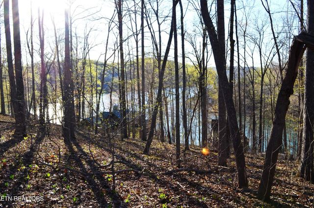 lot 21 Deer Run Point, Lafollette, TN 37766