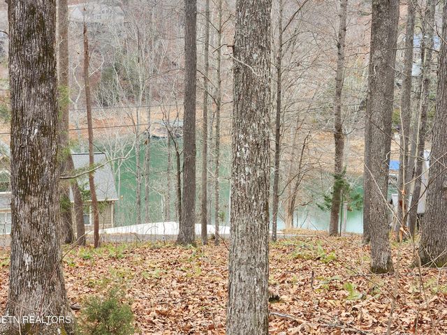 lot 21 Deer Run Point, Lafollette, TN 37766