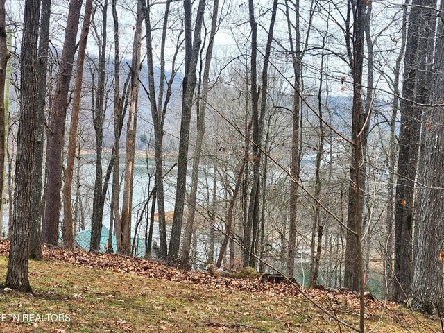 lot 21 Deer Run Point, Lafollette, TN 37766