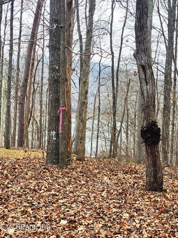 lot 21 Deer Run Point, Lafollette, TN 37766