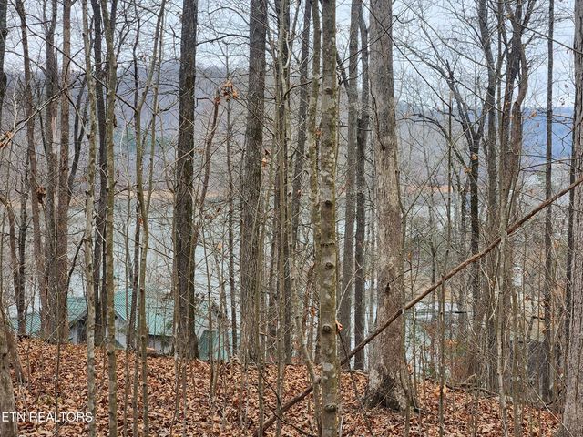 lot 21 Deer Run Point, Lafollette, TN 37766
