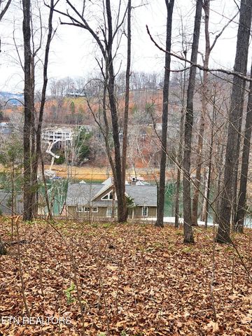 lot 21 Deer Run Point, Lafollette, TN 37766