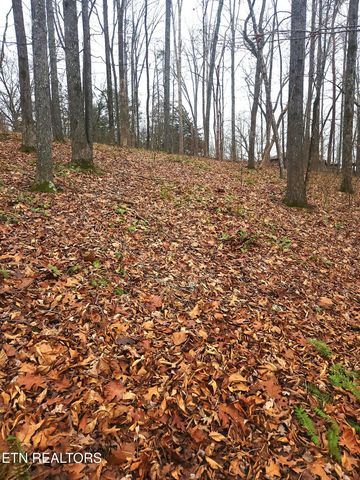 lot 21 Deer Run Point, Lafollette, TN 37766