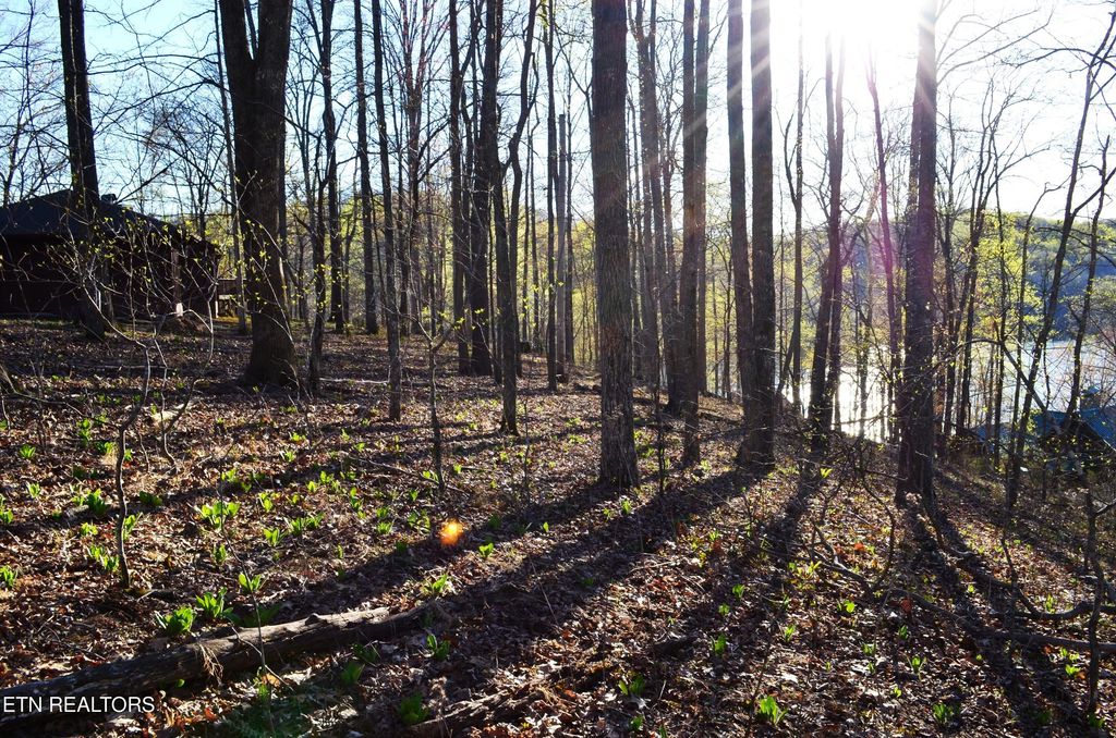 lot 21 Deer Run Point, Lafollette, TN 37766