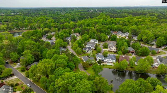 124 Pond Edge Lane, Chapin, SC 29036