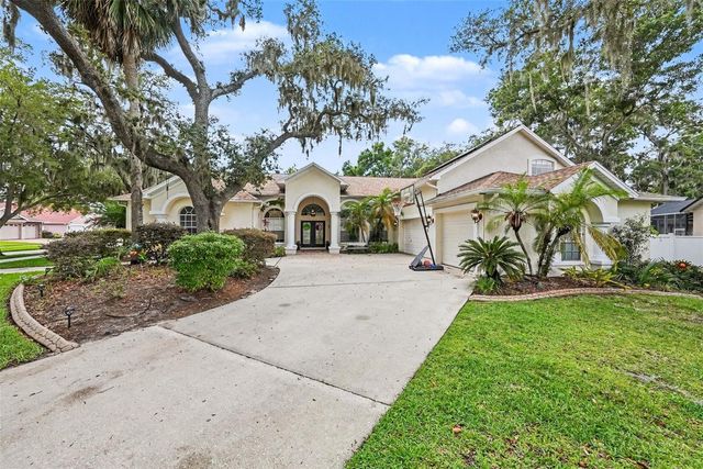 2528 CENTENNIAL FALCON DR, Valrico, FL 33596