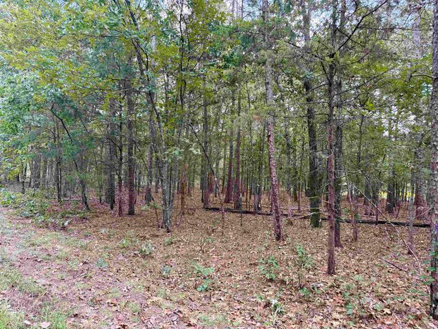 Lot 5 & 6 Ellen, Higden, AR 72067
