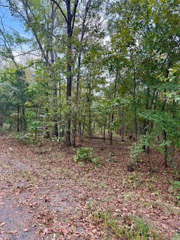 Lot 5 & 6 Ellen, Higden, AR 72067