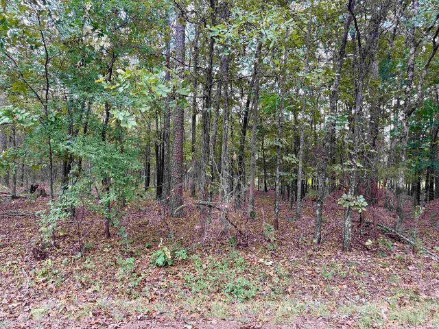 Lot 5 & 6 Ellen, Higden, AR 72067