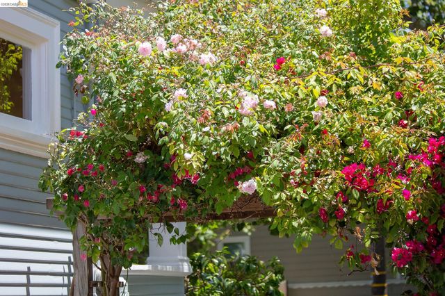 2238 California St, Berkeley, CA 94703