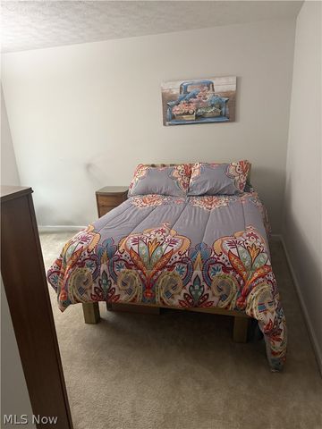 3659 Shady Timber Drive, Twinsburg, OH 44087