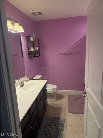 3659 Shady Timber Drive, Twinsburg, OH 44087