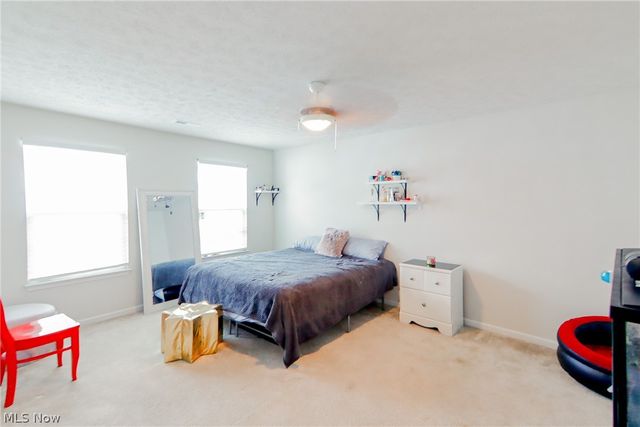 3659 Shady Timber Drive, Twinsburg, OH 44087