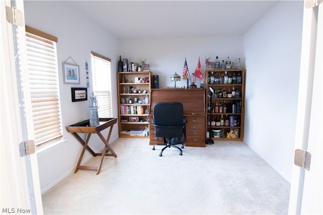 3659 Shady Timber Drive, Twinsburg, OH 44087