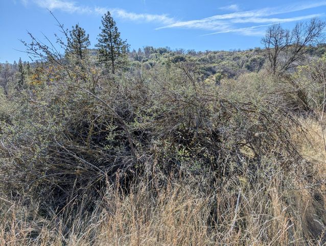 141517 Dunlap Rd, Miramonte, CA 93641