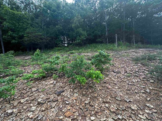 Lot 72 Cobalt Bay Drive, Shirley, AR 72153