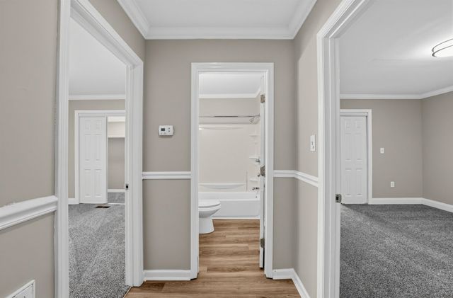 116 South Avenue, Spartanburg, SC 29306