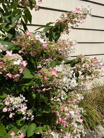 3540 Mcknight Road N, White Bear Lake, MN 55110