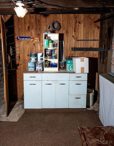 169 Park Street, Adrian, MI 49221