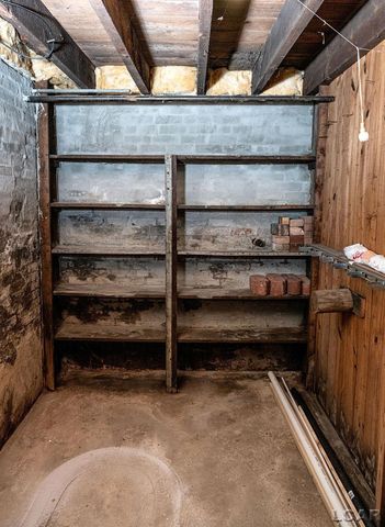 169 Park Street, Adrian, MI 49221