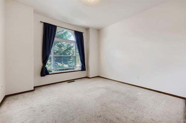 578 Burke Hollow Drive, Monument, CO 80132