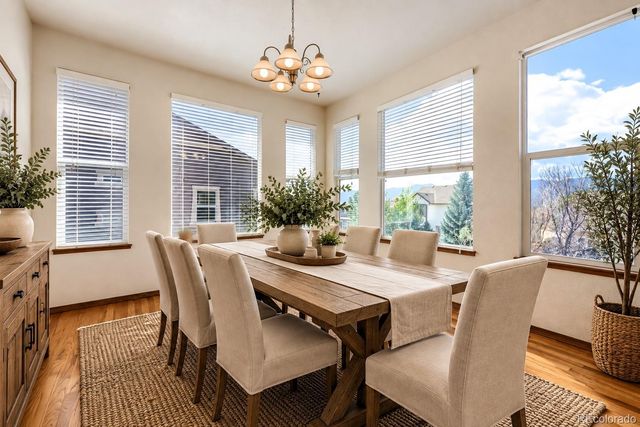 578 Burke Hollow Drive, Monument, CO 80132