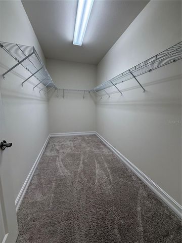 3237 PAINTED BLOSSOM COURT, Lutz, FL 33558