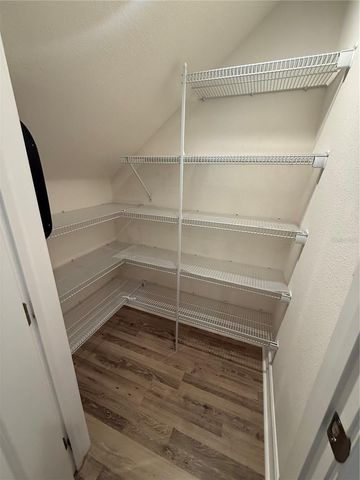 3237 PAINTED BLOSSOM COURT, Lutz, FL 33558