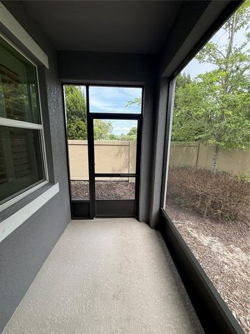 3237 PAINTED BLOSSOM COURT, Lutz, FL 33558