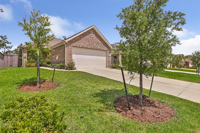 19336 Villa Mesa Drive, New Caney, TX 77357