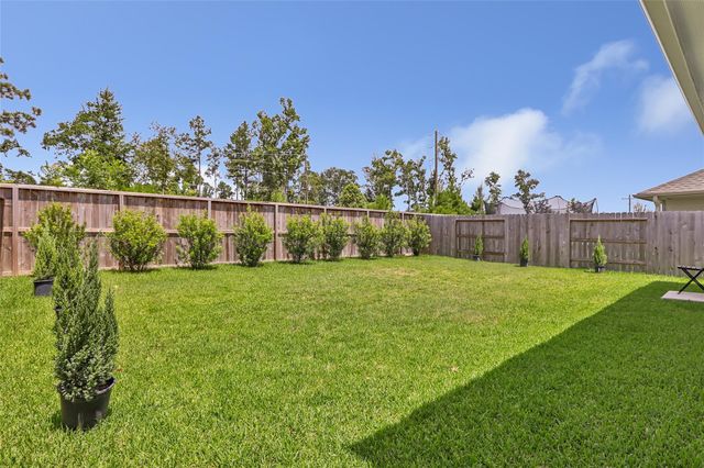 19336 Villa Mesa Drive, New Caney, TX 77357