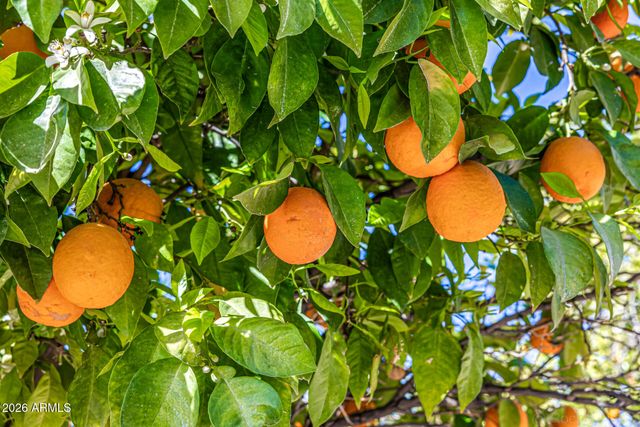 3409 E IVYGLEN Circle, Mesa, AZ 85213