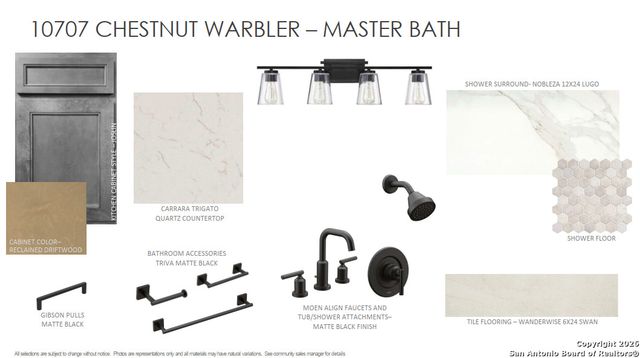 10707 Chestnut Warbler, New Braunfels, TX 78132