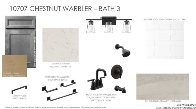 10707 Chestnut Warbler, New Braunfels, TX 78132