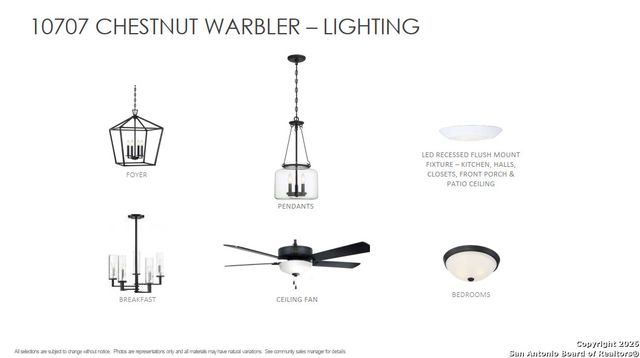 10707 Chestnut Warbler, New Braunfels, TX 78132