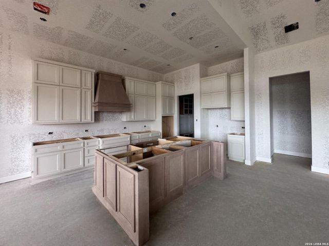 10707 Chestnut Warbler, New Braunfels, TX 78132