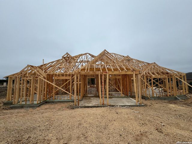 10707 Chestnut Warbler, New Braunfels, TX 78132