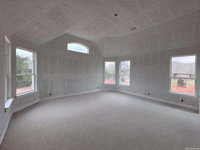 10707 Chestnut Warbler, New Braunfels, TX 78132