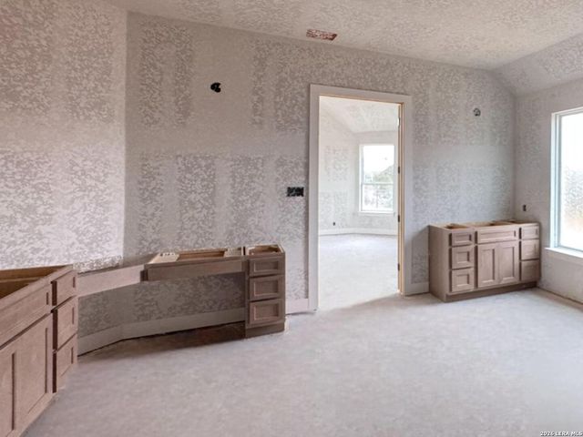 10707 Chestnut Warbler, New Braunfels, TX 78132