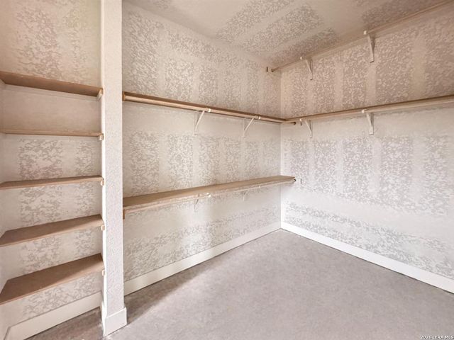 10707 Chestnut Warbler, New Braunfels, TX 78132