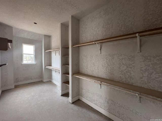 10707 Chestnut Warbler, New Braunfels, TX 78132